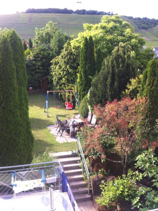Doppelzimmer Mit Terrasse Zum Garten, Ruhig, Weinbergsblick, Zusaetzliches Kinderzimmer Anbei Moeglich Winningen Exterior photo